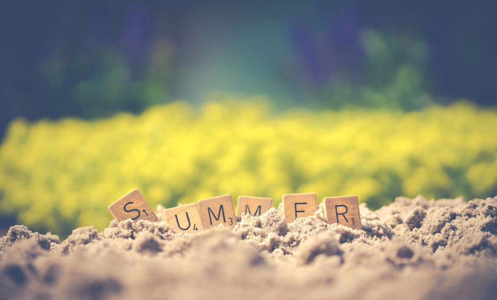 start an online business over the summer